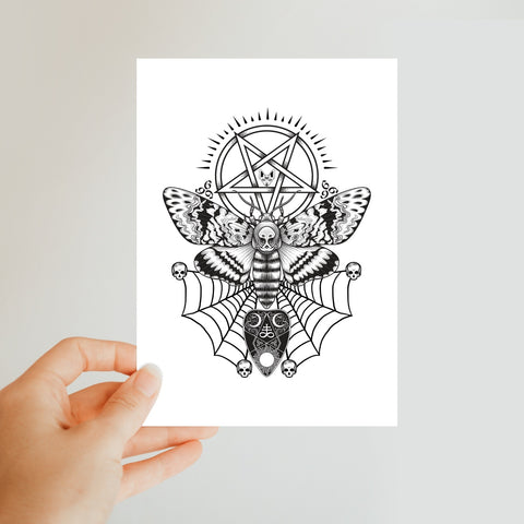 Deaths Head Hawk Moth Pentagram Classic Postcard
