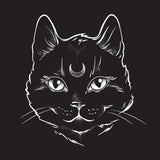 Witches Black Cute Cat Face Greetings Card 6”x6”